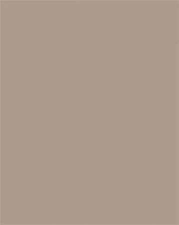 Színes papír, A3, 130 g, 50 lap, FOLIA, cappuccino (FL6373)