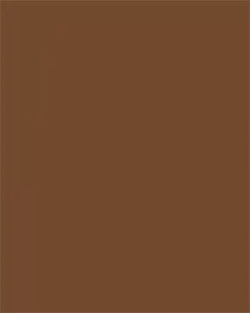 Színes papír, A3, 130 g, 50 lap, FOLIA, csokoládébarna (FL6385)