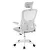 Ergonomikus irodai szék deréktámasszal, fejtámlával, szürke