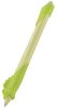 Írástanuló rollertoll, 0,7 mm, radírozható, MAPED KIDY Learn MAGIC, kaméleon, zöld, 12 db (IMA229701)
