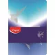 Jegyzetfüzet, tűzött, A5, vonalas, MAPED „Arctic jégvilág” (IMA960003)