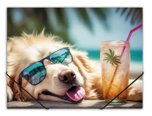 Gumis mappa, 15 mm, PP, A4, PANTA PLAST, Chillout dog (INP0410006453)