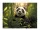 Gumis mappa, 15 mm, PP, A4, PANTA PLAST Panda (INP4106458)