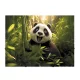Gumis mappa, 15 mm, PP, A4, PANTA PLAST Panda (INP4106458)