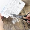 Olló, konyhai, 20 cm, fűszer és papíraprító, 5 penge, RAPESCO (IR1599)
