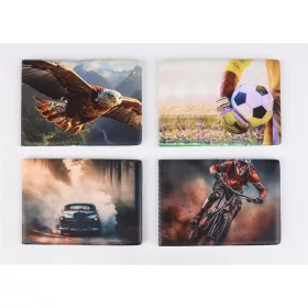   Diák- és igazolványtartó, fekvő, 6 betét lappal, mintás PVC, Többlapos, fiú (ISKE211)