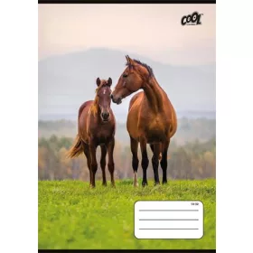   Füzet, tűzött, A5, vonalas, 32 lap, 1. osztály, COOL BY VICTORIA Free Spirit, 14-32 (ISVFC109)