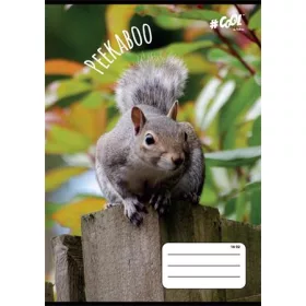   Füzet, tűzött, A5, vonalas, 32 lap, 2. osztály, COOL BY VICTORIA, Peekaboo, 16-32 (ISVFC60)