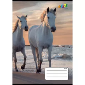   Füzet, tűzött, A5, vonalas, 32 lap, 3. osztály, COOL BY VICTORIA, Horses, 12-32 (ISVFC78)