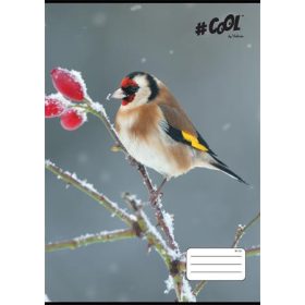   Füzet, tűzött, A4, vonalas, 32 lap, COOL BY VICTORIA, Little birds, 81-32 (ISVFC83)