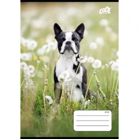   Füzet, tűzött, A5, kockás, 32 lap, COOL BY VICTORIA B&W dogs, 27-32 (ISVFC98)