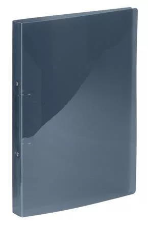 Gyűrűs könyv, 2 gyűrű, 25 mm, A4, PP, VIQUEL Propyglass, füstszínű (IV020278)