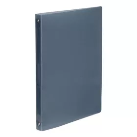   Gyűrűs könyv, 4 gyűrű, 25 mm, A4, PP, VIQUEL Propyglass, füstszínű (IV020978)