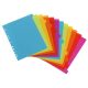 Regiszter, műanyag, A4 Maxi, 12 részes, VIQUEL, Happy Fluo, színes (IV154731)