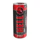 Energiaital, 250 ml, HELL Apple Strong (KHI527V)