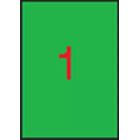  Etikett, 210x297 mm, színes, APLI, neon zöld, 100 etikett/csomag (LCA11750)