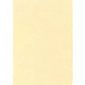   Előnyomott papír, A4, 95 g, pergamen hatású, APLI, pezsgő (LCA11958U)