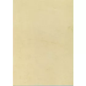 Előnyomott papír, A4, 200 g, APLI, havanna (LCA11960)