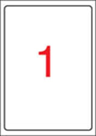 Etikett, tintasugaras nyomtatóhoz, 199,6 x 289,1 mm, fényes, fotóminőségű, APLI, 10 etikett/csomag (LCA2926)