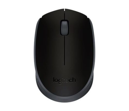 Egér, vezeték nélküli, optikai, közepes méret, USB, LOGITECH M171, fekete (LGEM171B)