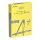 Másolópapír, színes, A4, 160 g, REY Adagio, intenzív sárga (LIPAD416IS)