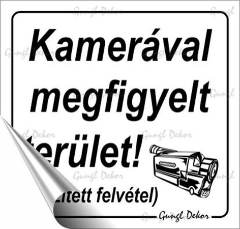 Információs matrica, 8,7x8,3 cm, Kamerával megfigyelt terület (LUIN071)