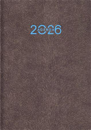Naptár, tervező, A5, heti, DAYLINER Animal, Grizzly-szürkésbarna (NANA5HGU)