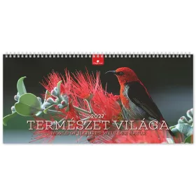   Naptár, asztali, álló, DAYLINER Természet világa (NAS4201U)