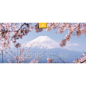 Naptár, asztali, álló, DAYLINER Képes világ (NAS5002U)