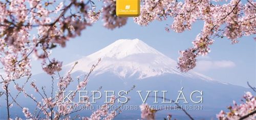 Naptár, asztali, álló, DAYLINER Képes világ (NAS5002U)