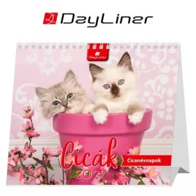 Naptár, asztali, álló, DAYLINER Cicák (NAS5003U)