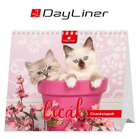 Naptár, asztali, álló, DAYLINER Cicák (NAS5003U)