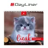 Naptár, asztali, álló, DAYLINER Cicák (NAS5003U)