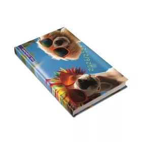   Diák zsebkönyv, heti, 2026/2027 tanév, REALSYSTEM, summer (NAT531369U)