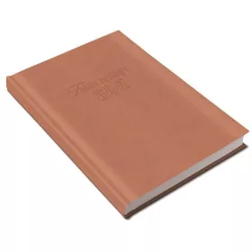   Tanítói zsebkönyv, heti, 2026/2027 tanév, REALSYSTEM, púder (NAT531706U)