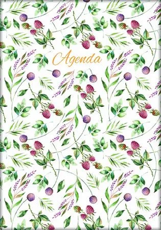 Naptár, tervező, A5, napi, DAYLINER, Colors, Berries (NCA5BEU)