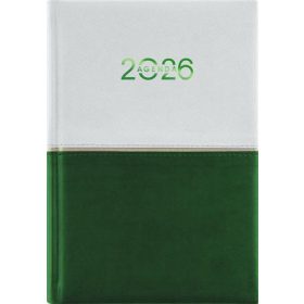   Naptár, tervező, A5, napi, DAYLINER Contrast, fehér-zöld (NCA5FZU)