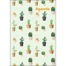   Naptár, tervező, A5, heti, DAYLINER, Colors, Cactus (NCA5HCAU)