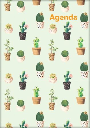 Naptár, tervező, A5, heti, DAYLINER, Colors, Cactus (NCA5HCAU)