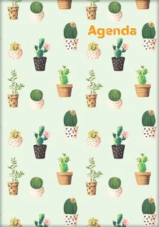 Naptár, tervező, A5, heti, DAYLINER, Colors, Cactus (NCA5HCAU)