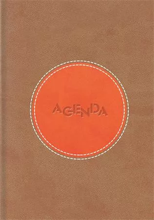 Naptár, tervező, A5, napi, DAYLINER Central, barna-narancs (NCEA5BNU)