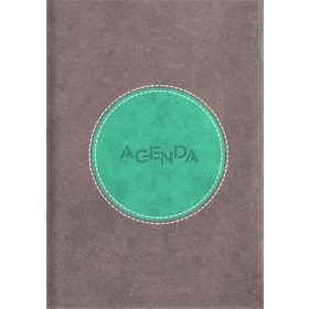   Naptár, tervező, A5, napi, DAYLINER Central, szürke-türkiz (NCEA5SZTU)