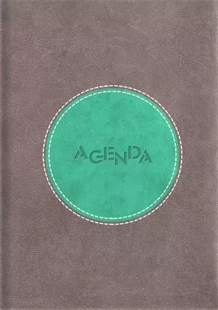 Naptár, tervező, A5, napi, DAYLINER Central, szürke-türkiz (NCEA5SZTU)