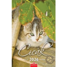Naptár, fali, CSG, Cicák (NCFN089)