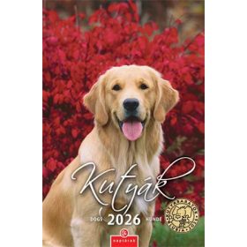 Naptár, fali, CSG Kutyák (NCFN098)