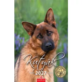 Naptár, fali, CSG Kutyák (NCFN098)