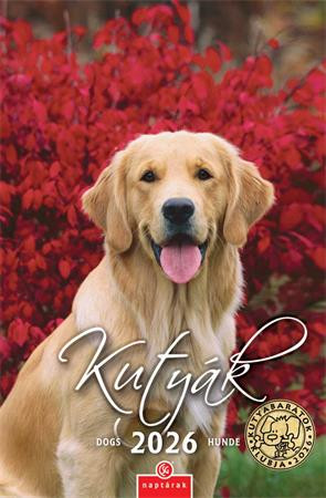 Naptár, fali, CSG Kutyák (NCFN098)