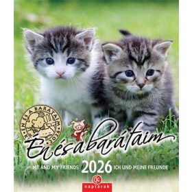 Naptár, fali, CSG Én és a barátaim (NCFNU05)