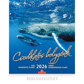 Naptár, fali, CSG, Csodálatos bolygónk (NCFNU10)