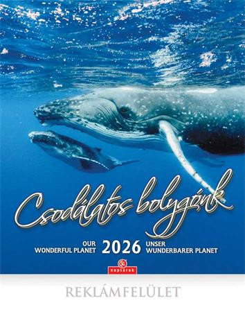 Naptár, fali, CSG, Csodálatos bolygónk (NCFNU10)